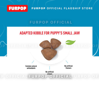 Royal Canin Mini Puppy 2KG Dry Dog Food - Size Health Nutrition | FURPOP