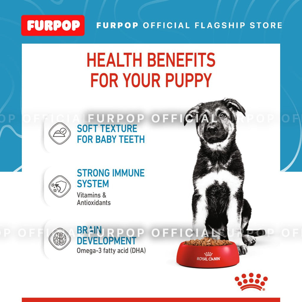 Royal Canin Maxi Puppy (140g x 10 pouches) Wet Dog Food - Size Health Nutrition | FURPOP