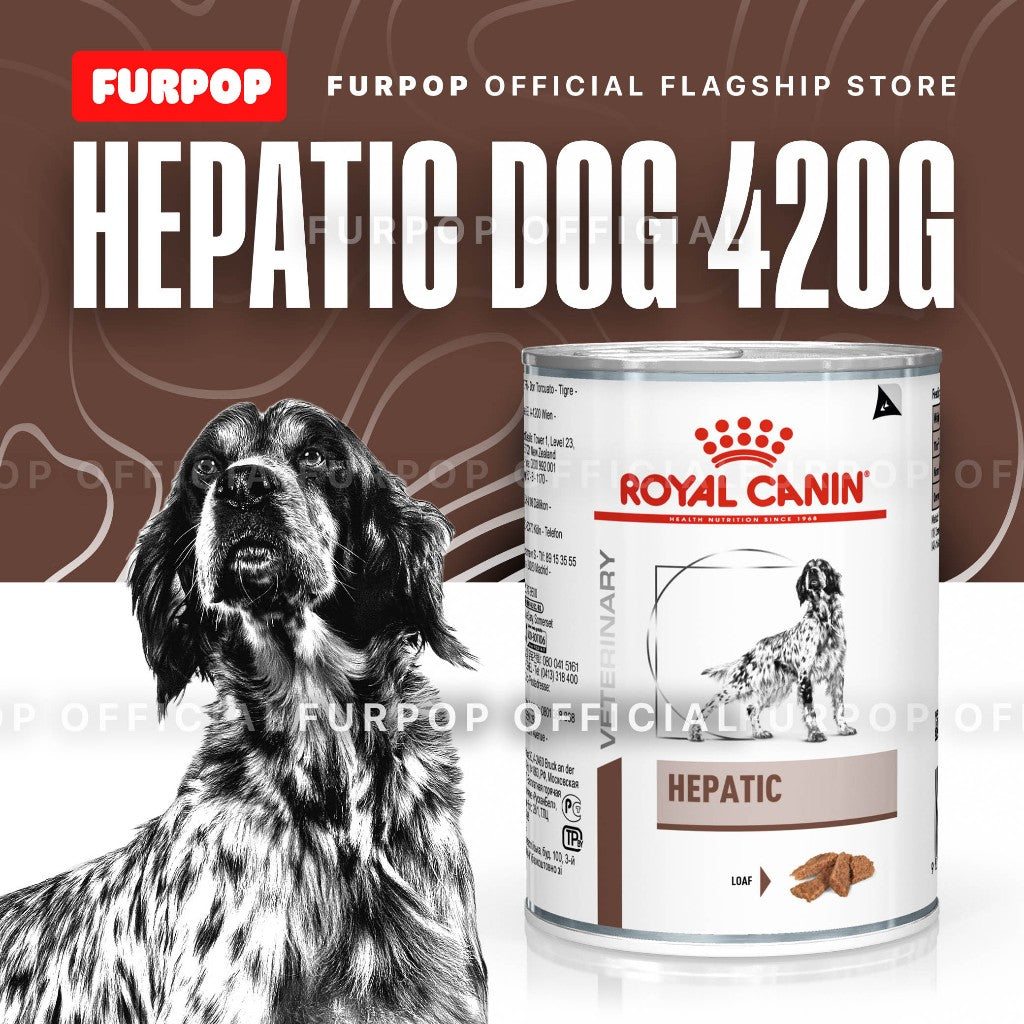 Royal Canin Hepatic 420g Wet Dog Food Can VHN Dog